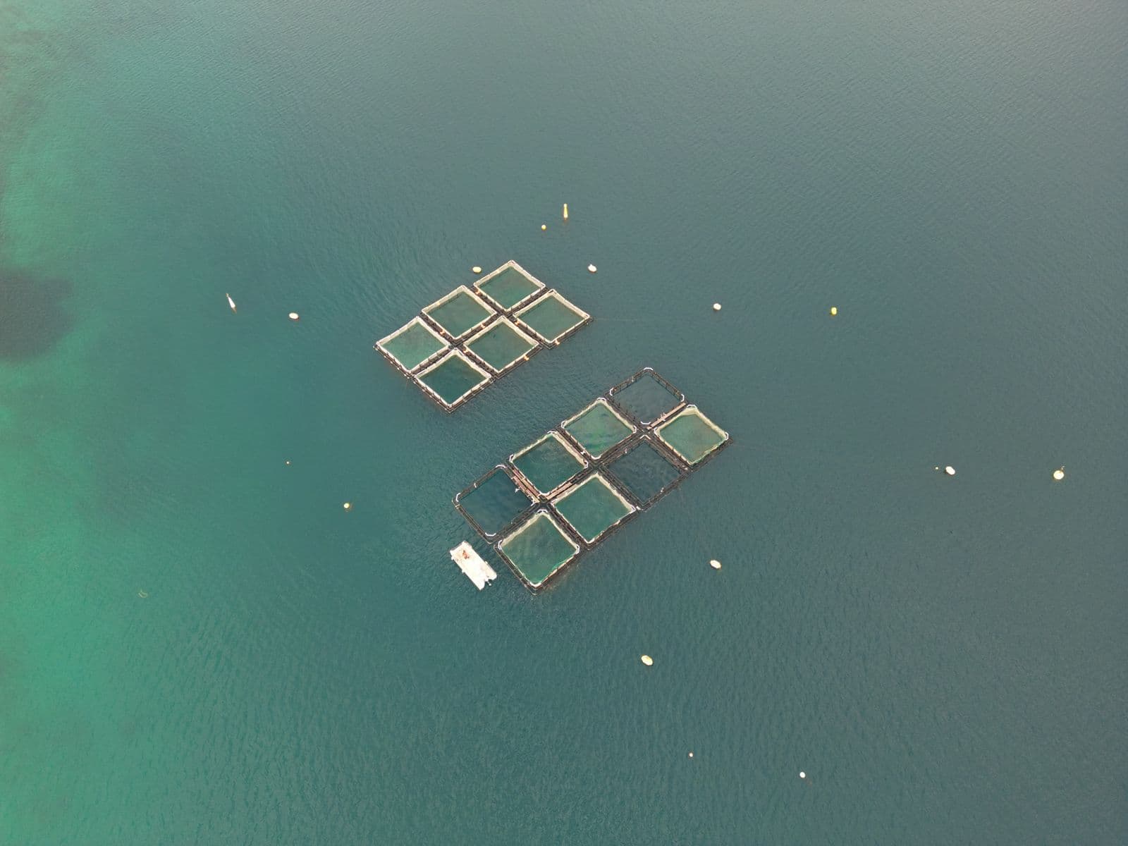 Aerial view of square net-pen fish cages in calm water