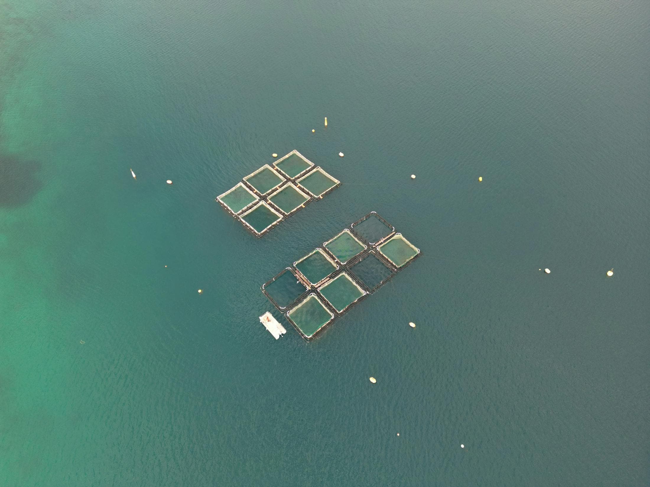 Aerial view of offshore fish farm cages in clear blue water