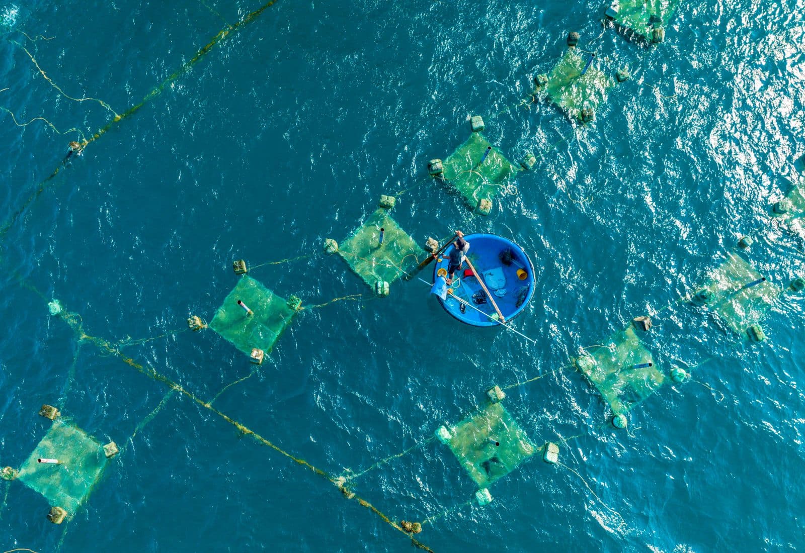 Aquaculture worker tending sea net-pen fish cages from a boat